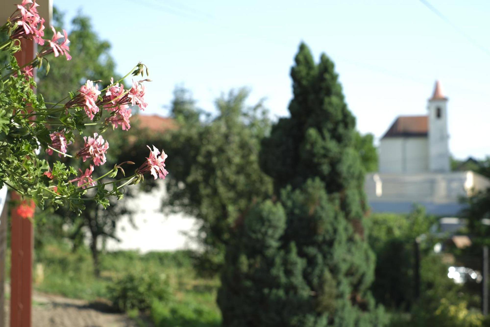 Panorama Apartmanhaz Sárvár المظهر الخارجي الصورة