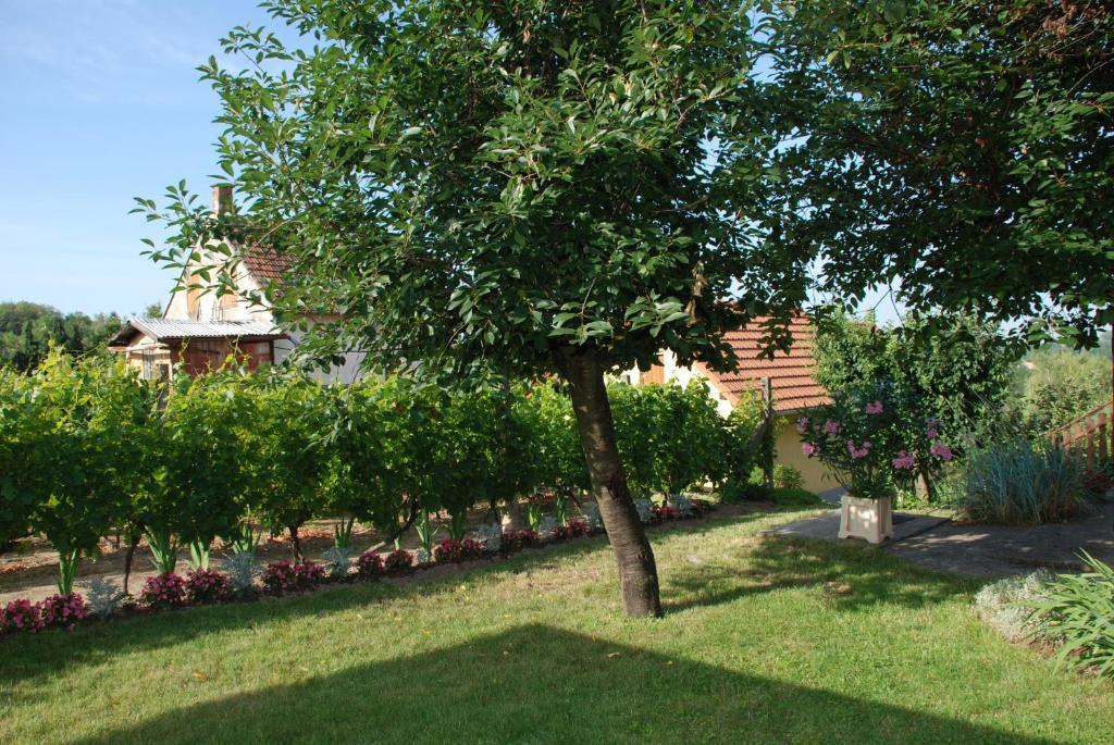 Panorama Apartmanhaz Sárvár المظهر الخارجي الصورة